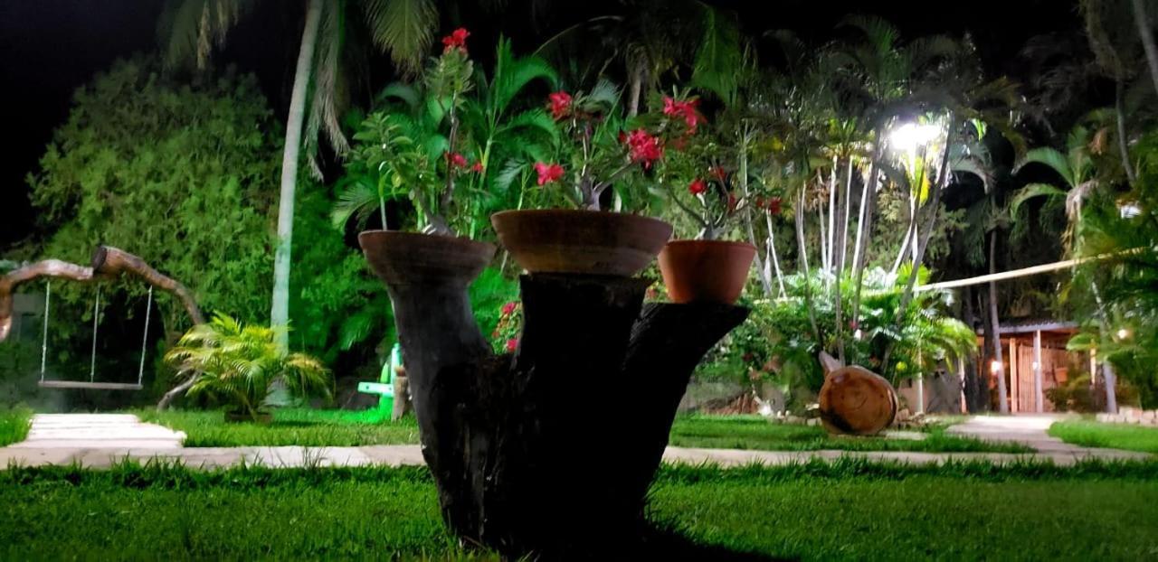 Pousada Recanto Dos Passaros Balsas Exterior foto