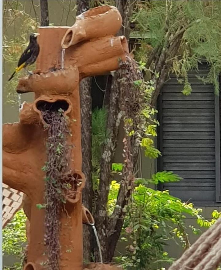 Pousada Recanto Dos Passaros Balsas Exterior foto
